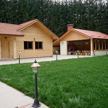 Pensiunea Floarea De Colt Nucşoara 외부 사진